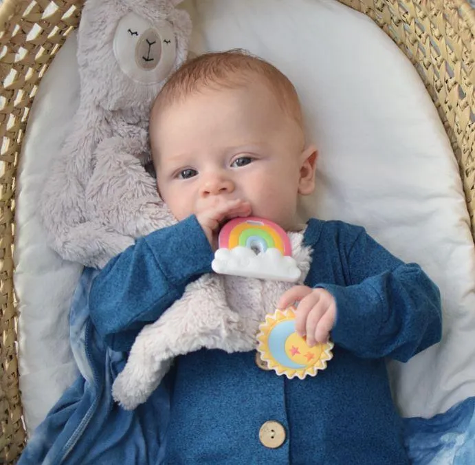 2pc Mini Teether Set
