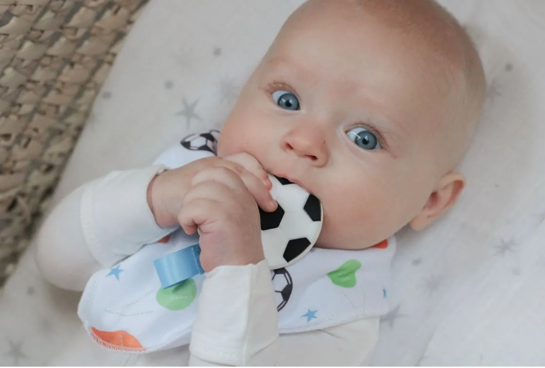 2pc Mini Teether Set