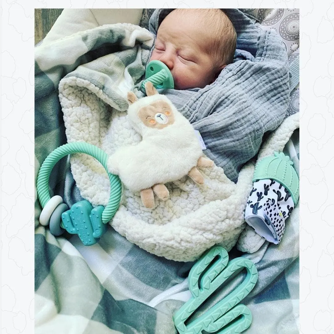 Chew Crew Silicone Baby Teethers