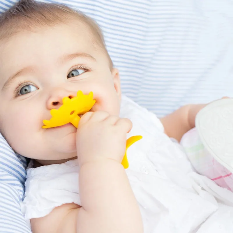 Ez Grip Star Teether Oral Develeopment Toy