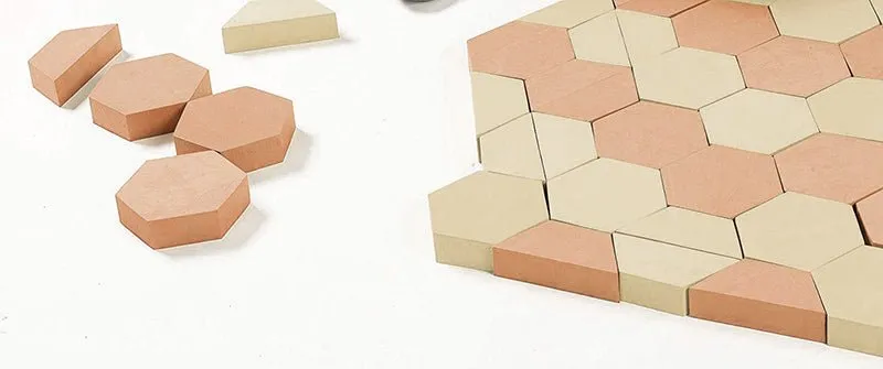 Foam Paver Building Blocks