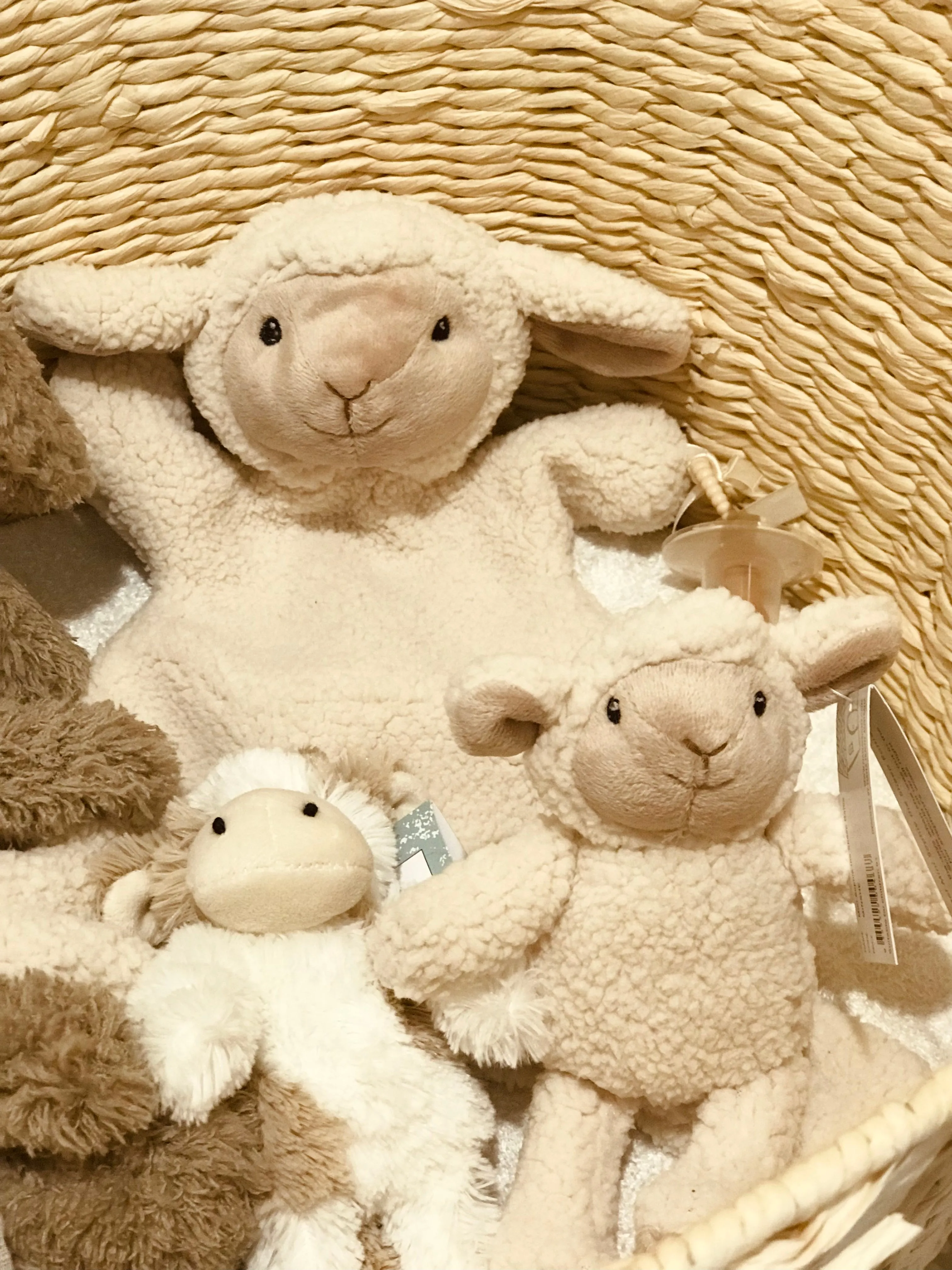 Mini Sophie the sheep