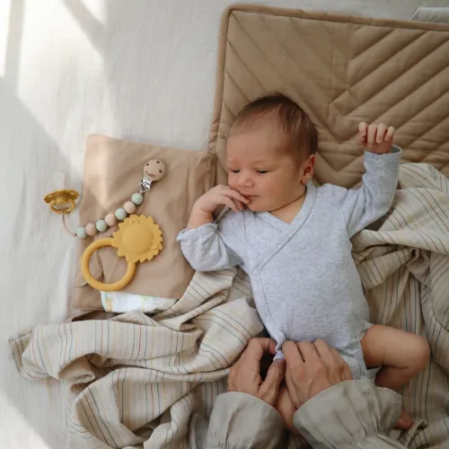Mushie - Animal Teethers