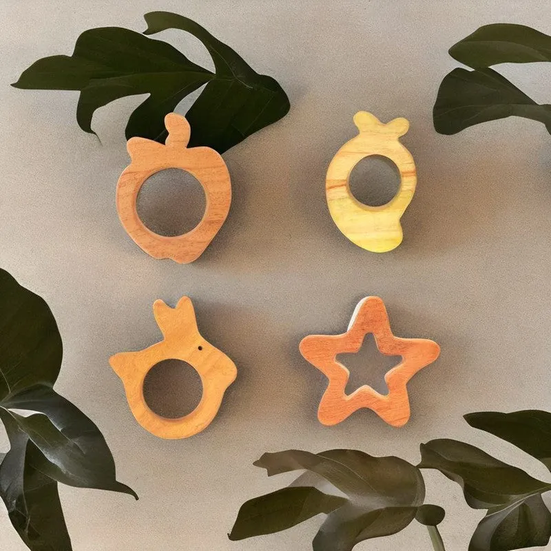 Nature Inspired Shapes Collection Neem Wood Teethers (Combo of 5)