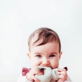Nelly The Elephant Bracelet Teether