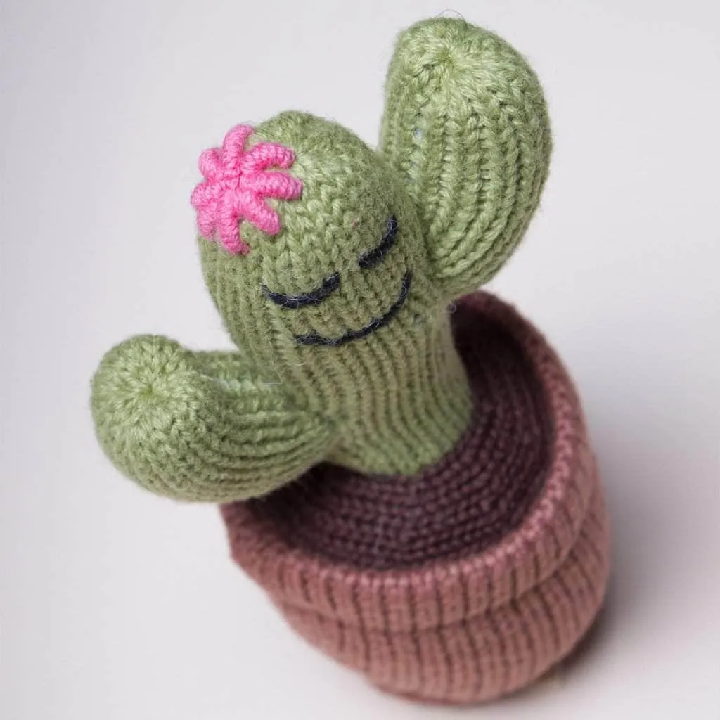 Organic Baby Toys - Newborn Rattles | Cactus