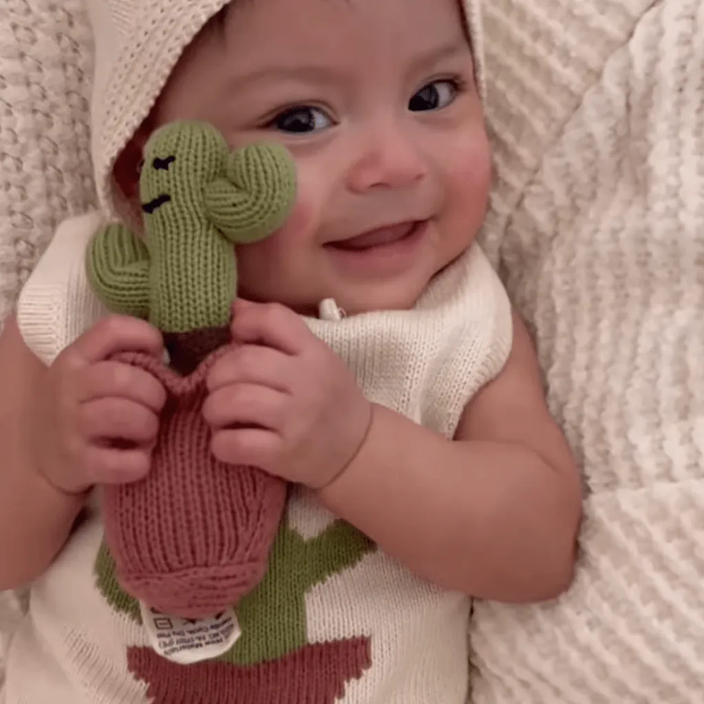 Organic Baby Toys - Newborn Rattles | Cactus