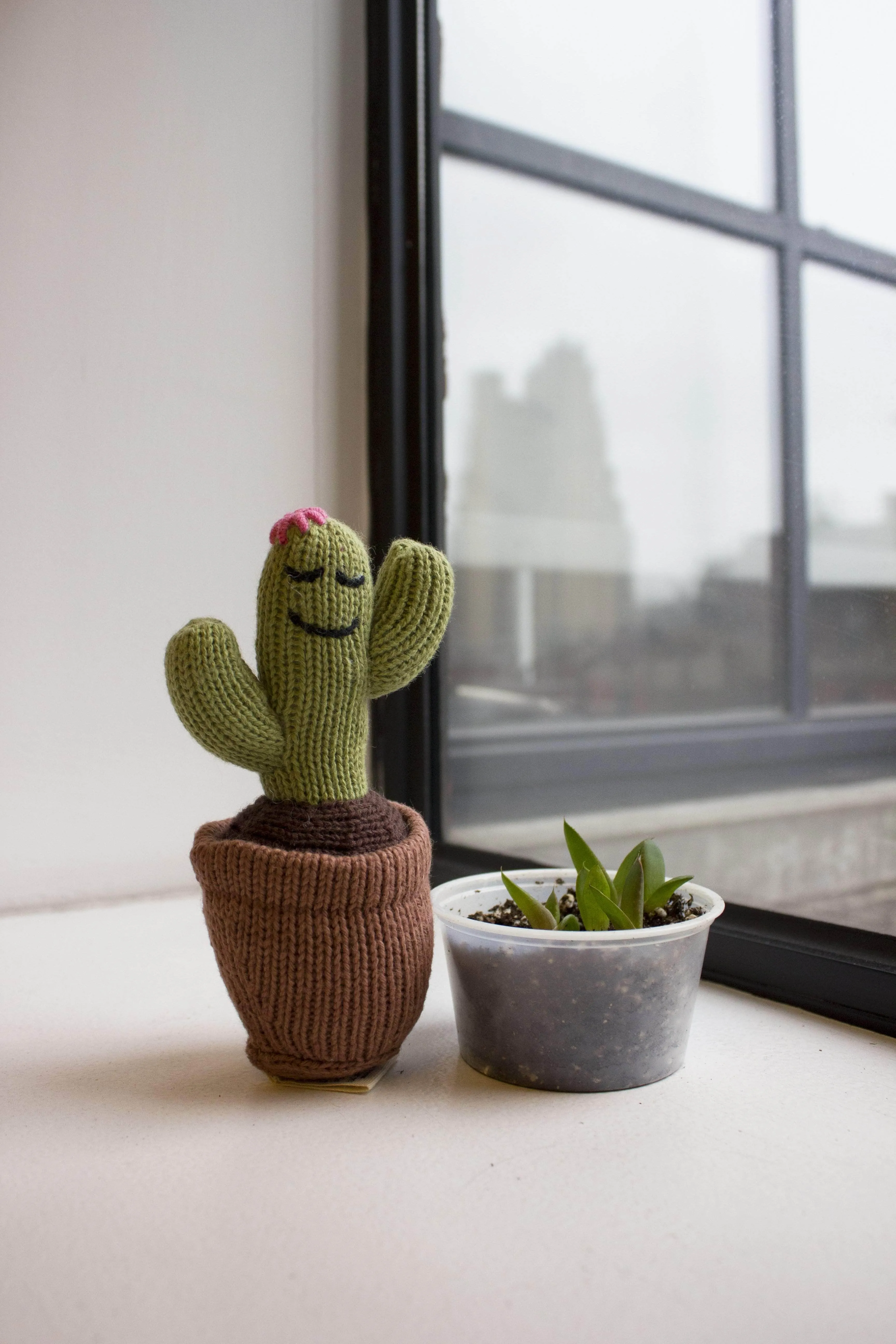 Organic Baby Toys - Newborn Rattles | Cactus