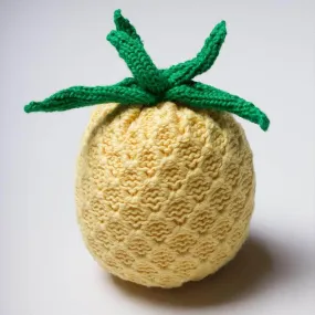 Organic Baby Toys - Newborn Rattles | Pineapple