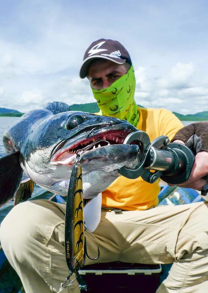 Samba Pencil Lure
