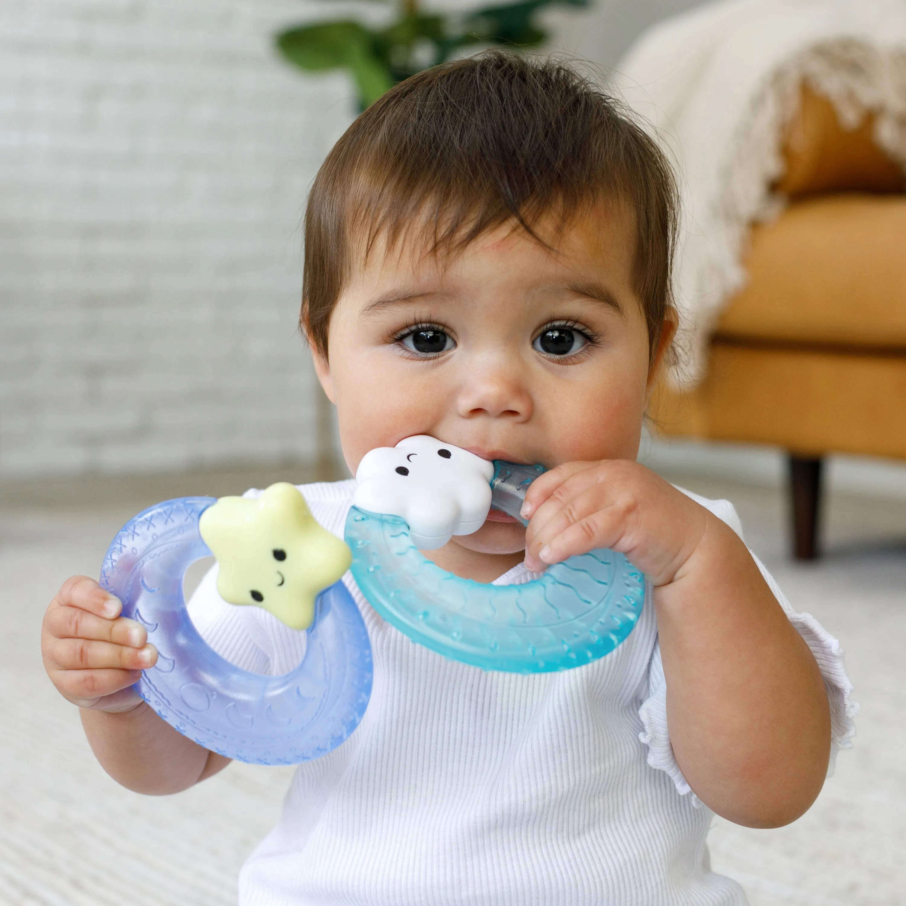 Soothe & Shake Water Teethers
