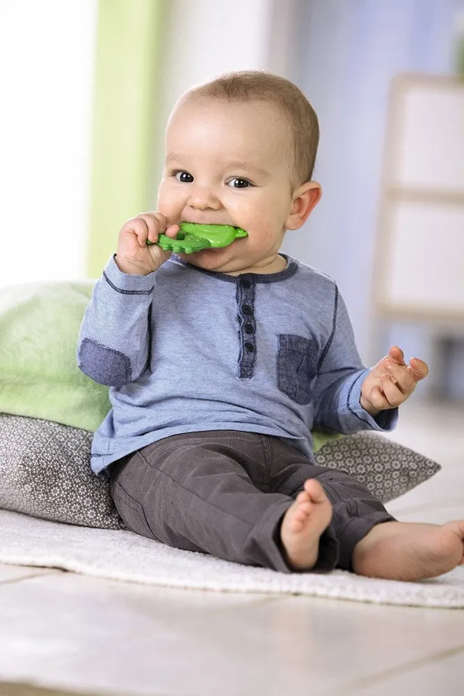 xHaba Clutching toy Frog